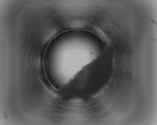 X0000097850202200803141224