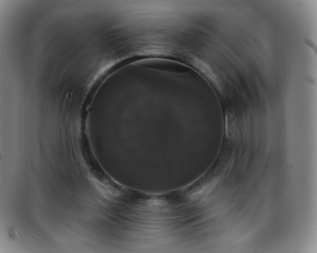 X0000097850204200803141224