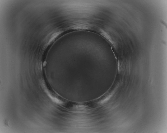 X0000097850205200803141224