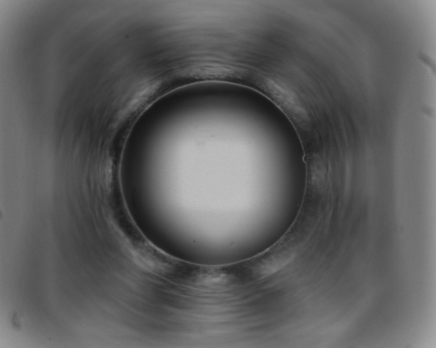X0000097850206200803141224
