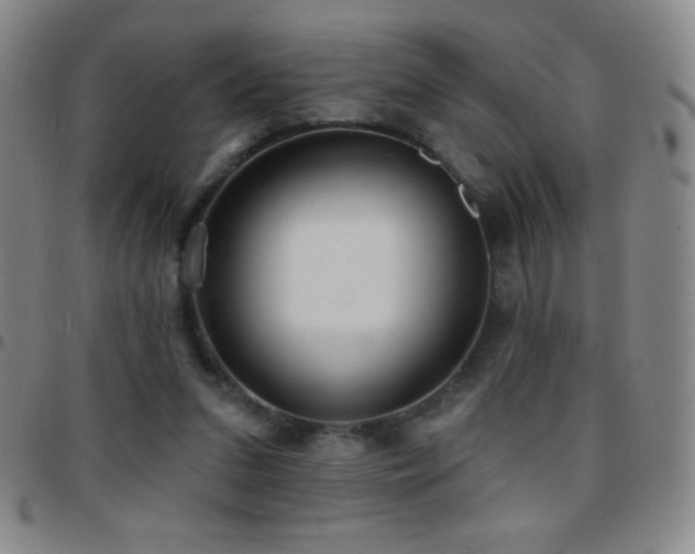 X0000097850207200803141224