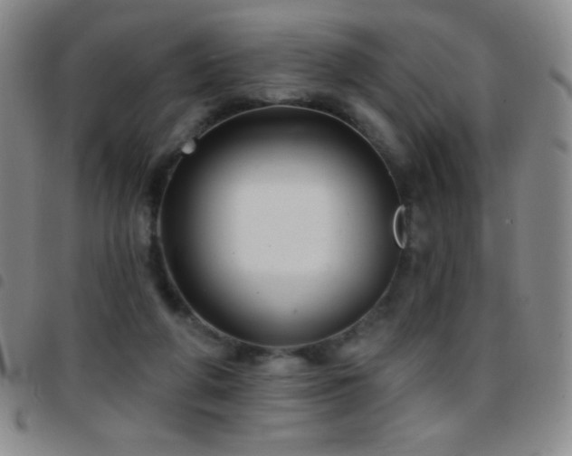 X0000097850210200803141224