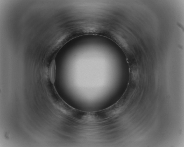 X0000097850211200803141224