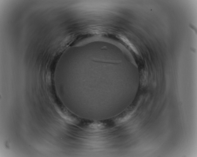 X0000097850213200803141224