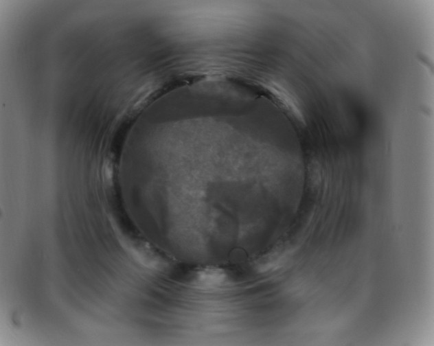 X0000097850214200803141224