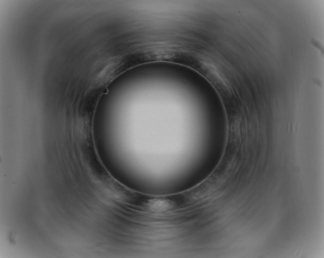X0000097850218200803141224