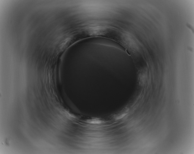 X0000097850219200803141224