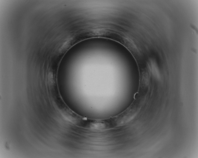 X0000097850220200803141224