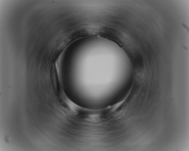 X0000097850221200803141224