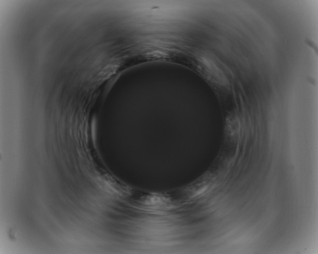 X0000097850223200803141224