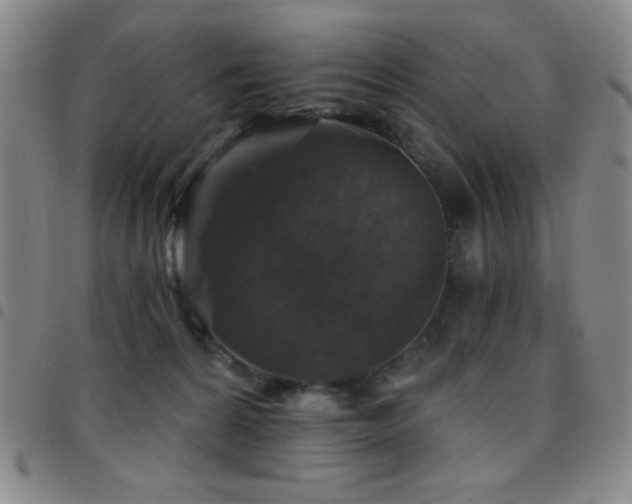 X0000097850224200803141224