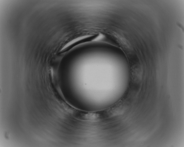 X0000097850225200803141224