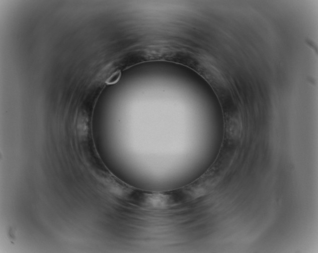 X0000097850226200803141224
