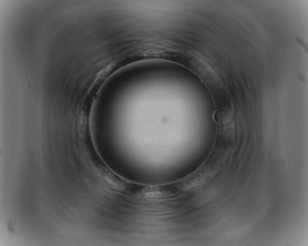X0000097850228200803141224