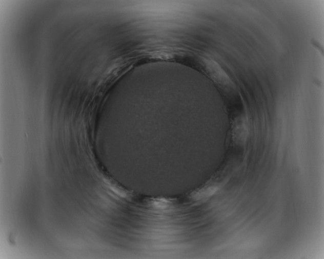 X0000097850229200803141224