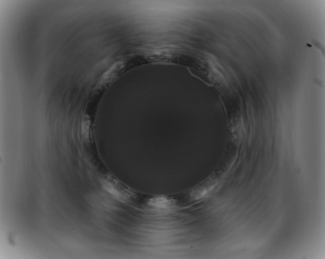 X0000097850231200803141224