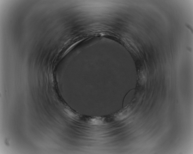 X0000097850232200803141224
