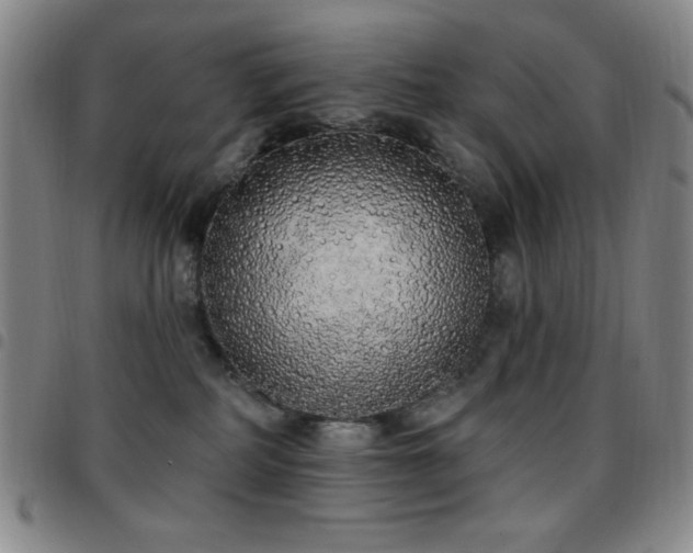 X0000097850234200803141224