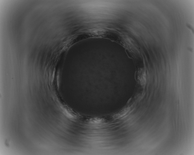X0000097850235200803141224