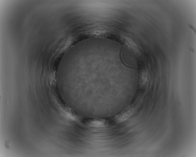 X0000097850236200803141224