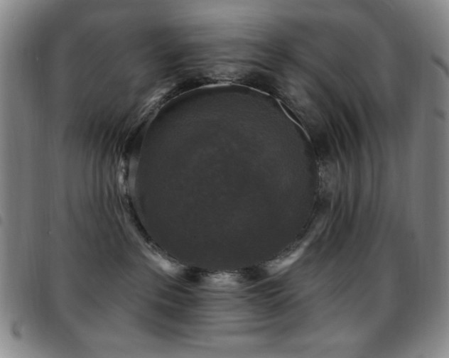 X0000097850237200803141224