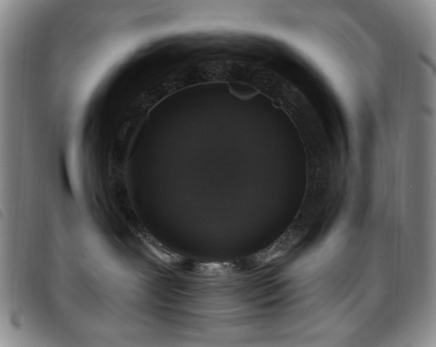 X0000097850239200803141224