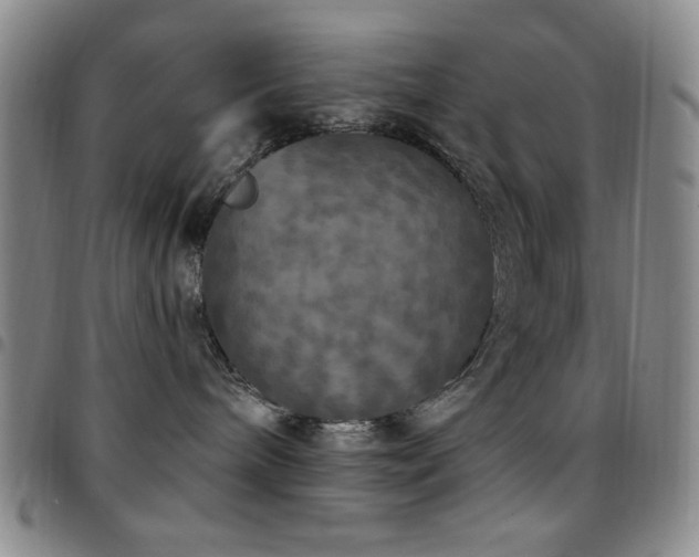 X0000097850240200803141224