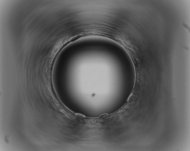 X0000097850241200803141223