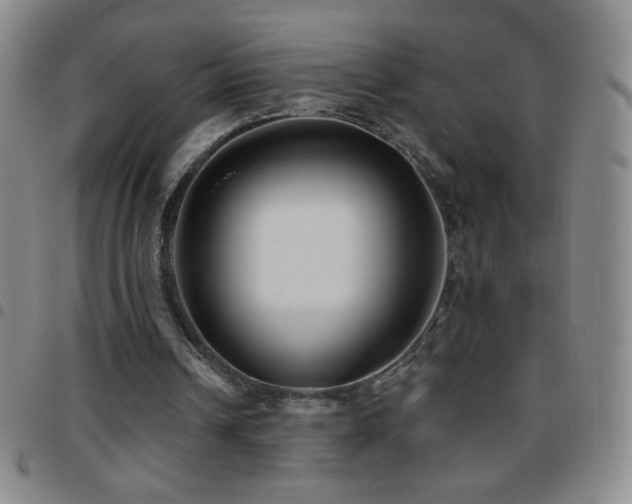 X0000097850242200803141223