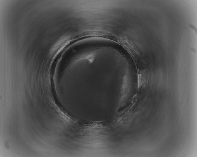 X0000097850243200803141223