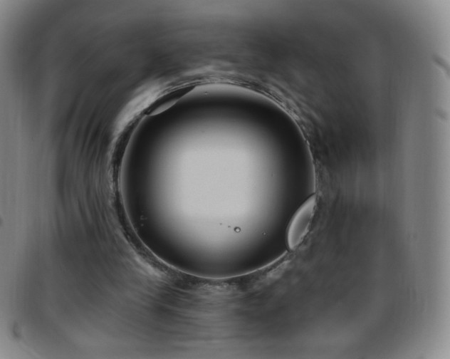 X0000097850245200803141223