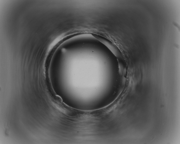 X0000097850246200803141223