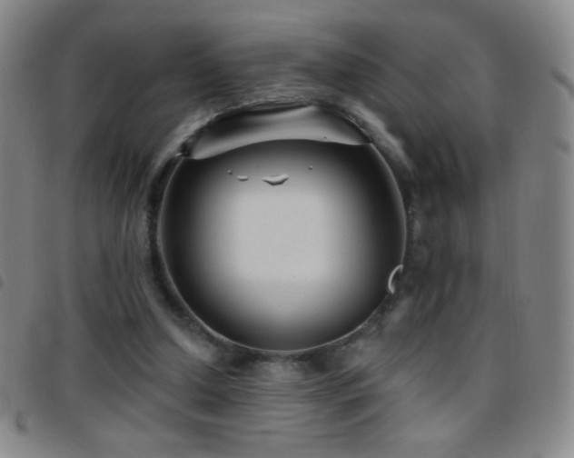 X0000097850250200803141223
