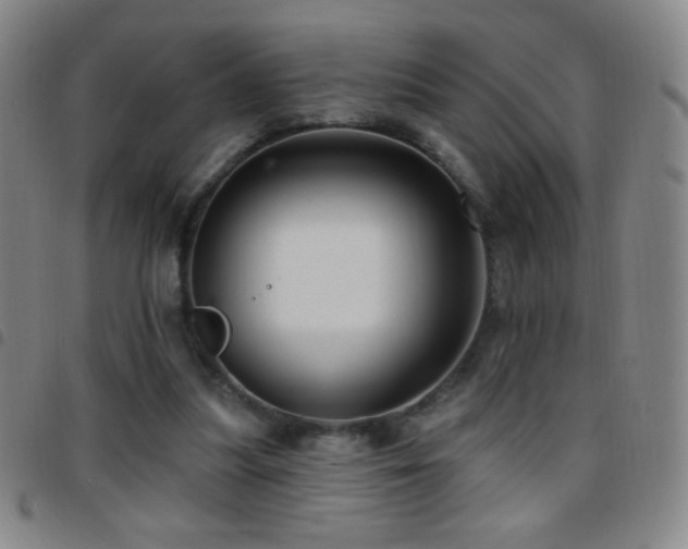 X0000097850251200803141223
