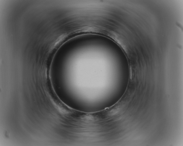X0000097850253200803141223