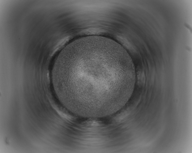 X0000097850254200803141223
