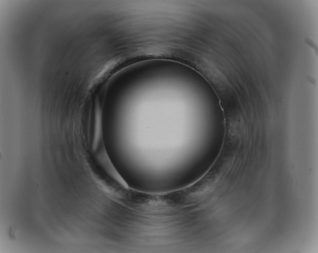 X0000097850256200803141223
