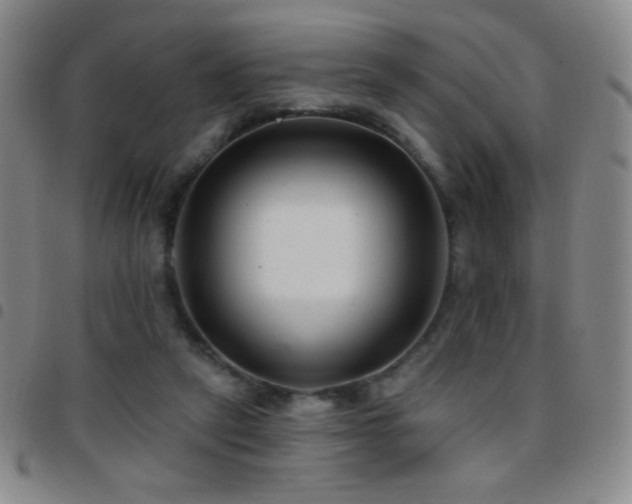 X0000097850257200803141223