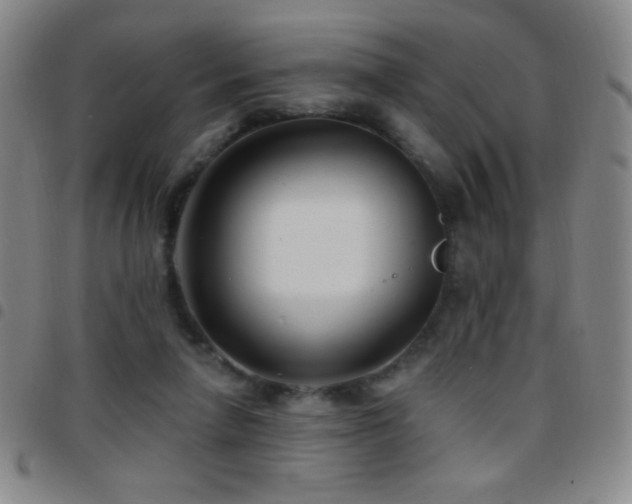 X0000097850258200803141223