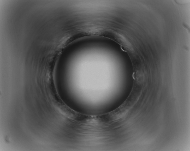 X0000097850259200803141223