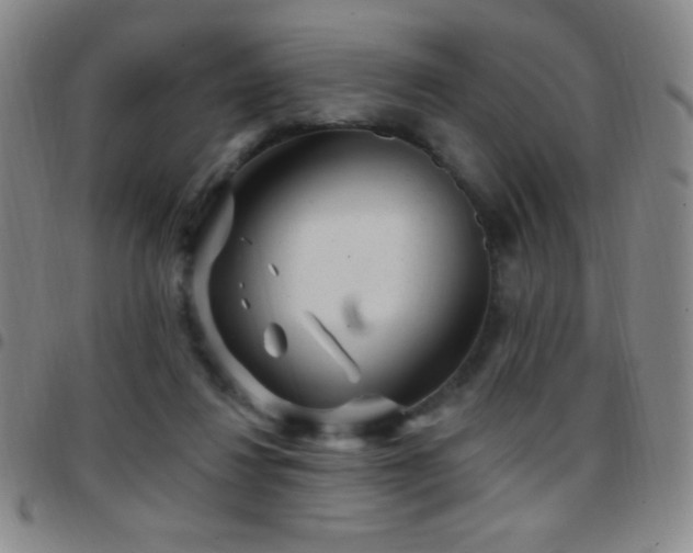 X0000097850260200803141223