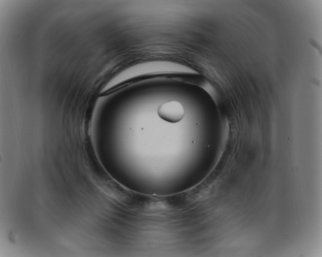 X0000097850262200803141223