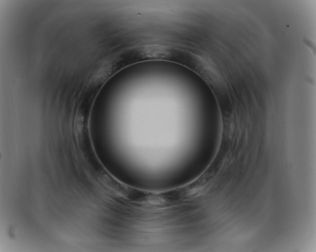X0000097850263200803141223