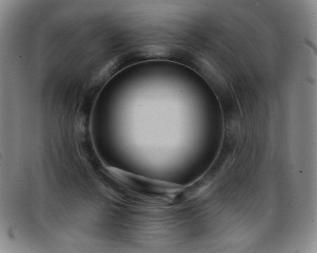 X0000097850264200803141223