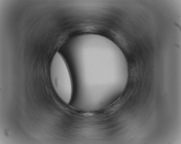 X0000097850265200803141223