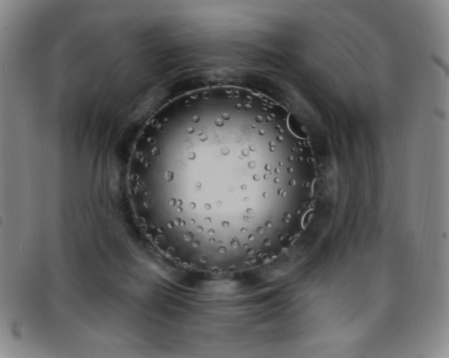 X0000097850266200803141223