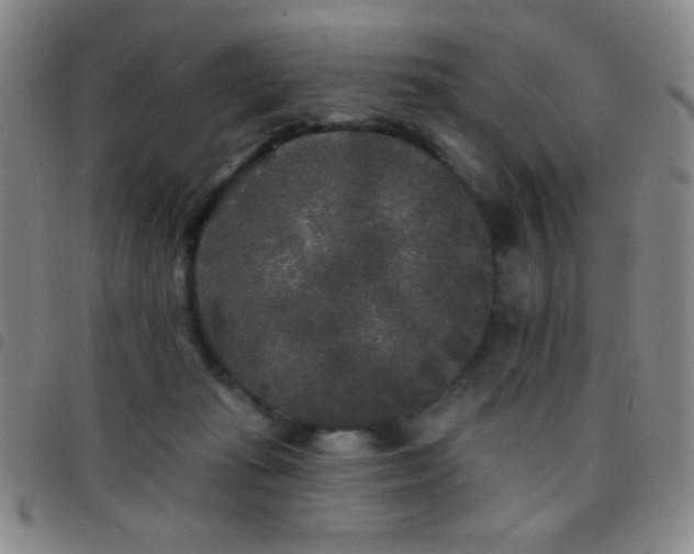 X0000097850269200803141223