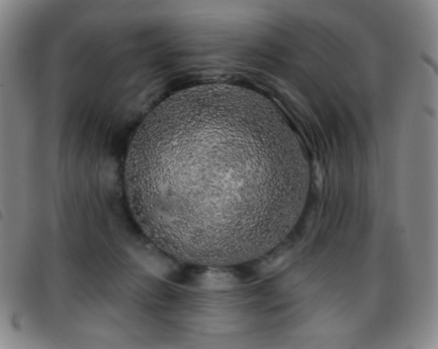 X0000097850270200803141223