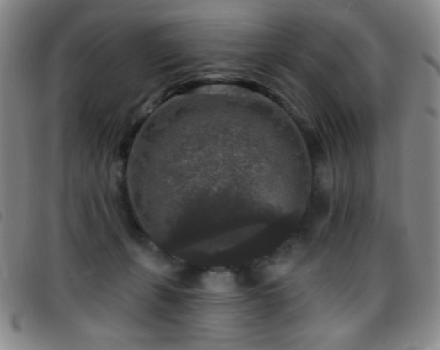 X0000097850271200803141223
