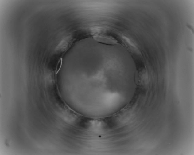 X0000097850272200803141223
